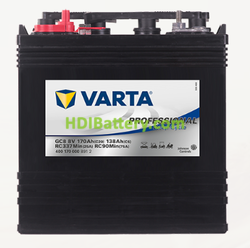 Batería Varta Professional Deep Cycle 8 voltios 170Ah GC8 260 x 181 x 288 mm
