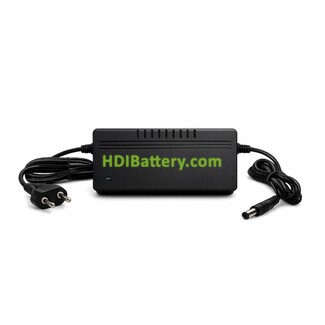 Cargador de bater�as de Litio PFS Energy 16.8V 3A
