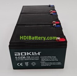 Conjunto 3 baterías AGM 36 Voltios 12 Amperios Aokly Power 151x99x98 mm 6-DZM-12