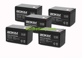 Kit de 5 bateras de plomo Aokly Power para patinete elctrico 60V 12Ah 