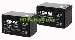 Conjunto de baterías para patín eléctrico Roan 24V 12Ah 