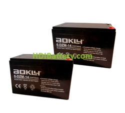 Kit 2 baterías de plomo AGM Aokly Power 6DZM14 24V 14Ah