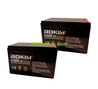 Kit 2 baterías de plomo AGM Aokly Power 6DZM14 24V 14Ah
