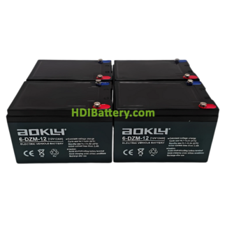 Kit 4 bateras de plomo AGM Aokly Power 6DZM12 48V 12Ah 