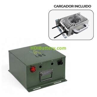 KIT Bater�a para Buggy de Golf LiFePO4 51.2V 60Ah LBS Battery + Cargador 15A