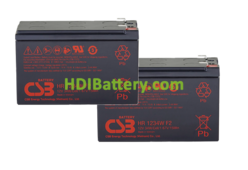 Kit de 2 Baterías de plomo para sistemas APC SAI RBC113 24V 9Ah
