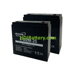 Kit de 2 Bateras de Traccin VT Industrial 6DZM25 24V 25Ah