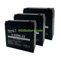 Kit de 3 Bateras de Traccin VT Industrial 6DZM25 36V 25Ah