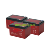 Kit de 3 Bateras de Traccin VT Industrial 6DZM16 36V 16Ah