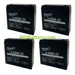 Kit de 4 Bateras de Traccin VT Industrial 6DZM25 48V 25Ah