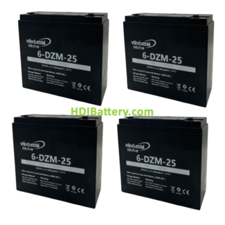 Kit de 4 Bateras de Traccin VT Industrial 6DZM25 48V 25Ah