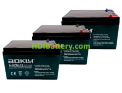 Kit de baterías de plomo 36V 12Ah para patinete eléctrico de 1000W + Cableado