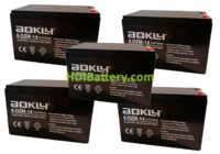 Kit de 5 Bateras AOKLY POWER 6DZM14 60V 14Ah